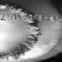 Karl Krolow: Zeitvergehen