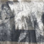 Nikolai Kyntschew: Poesiealbum 238