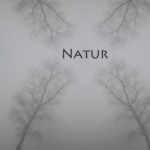Les Murray: Übersetzungen aus der Natur