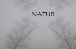 Les Murray: Übersetzungen aus der Natur