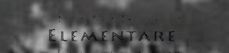 Pablo Neruda: Elementare Oden