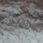 Helga M. Novak: Silvatica