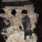 Dennis Brutus: Poesiealbum 171