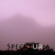 Oskar Pastior: Speckturm