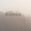 Kathrin Schmidt: Blinde Bienen
