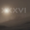 Ulf Stolterfoht: fachsprachen XXVIII–XXXVI