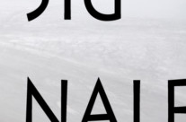 Andrea Zanzotto: Gli Sguardi i Fatti e Senhal / Signale Senhal