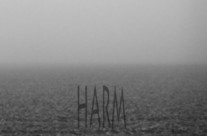 Bert Papenfuß: harm