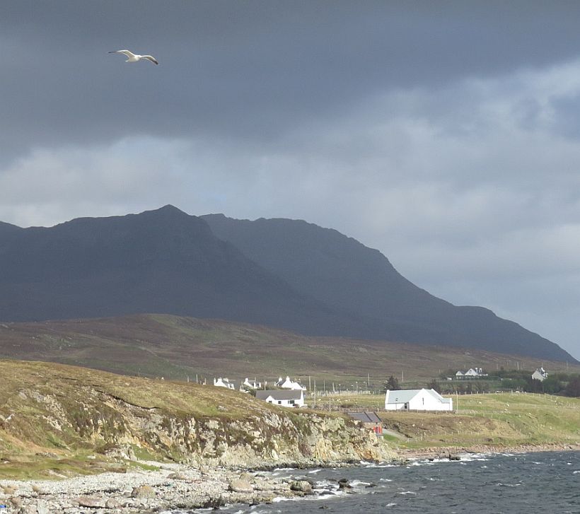 Achiltibuie with seagull 2