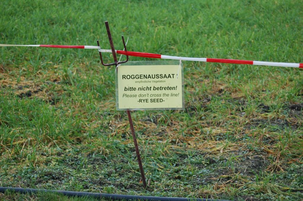Bild4