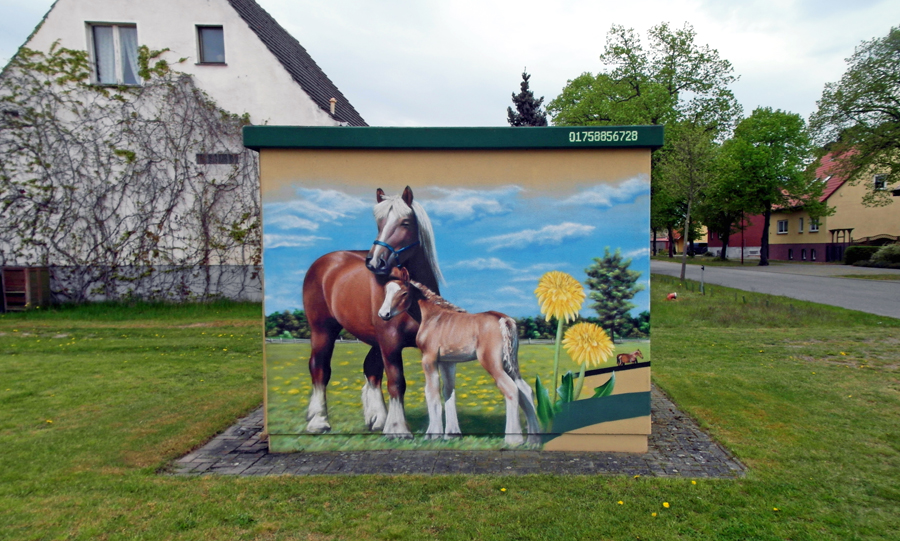 Klare_11_Pferde_900