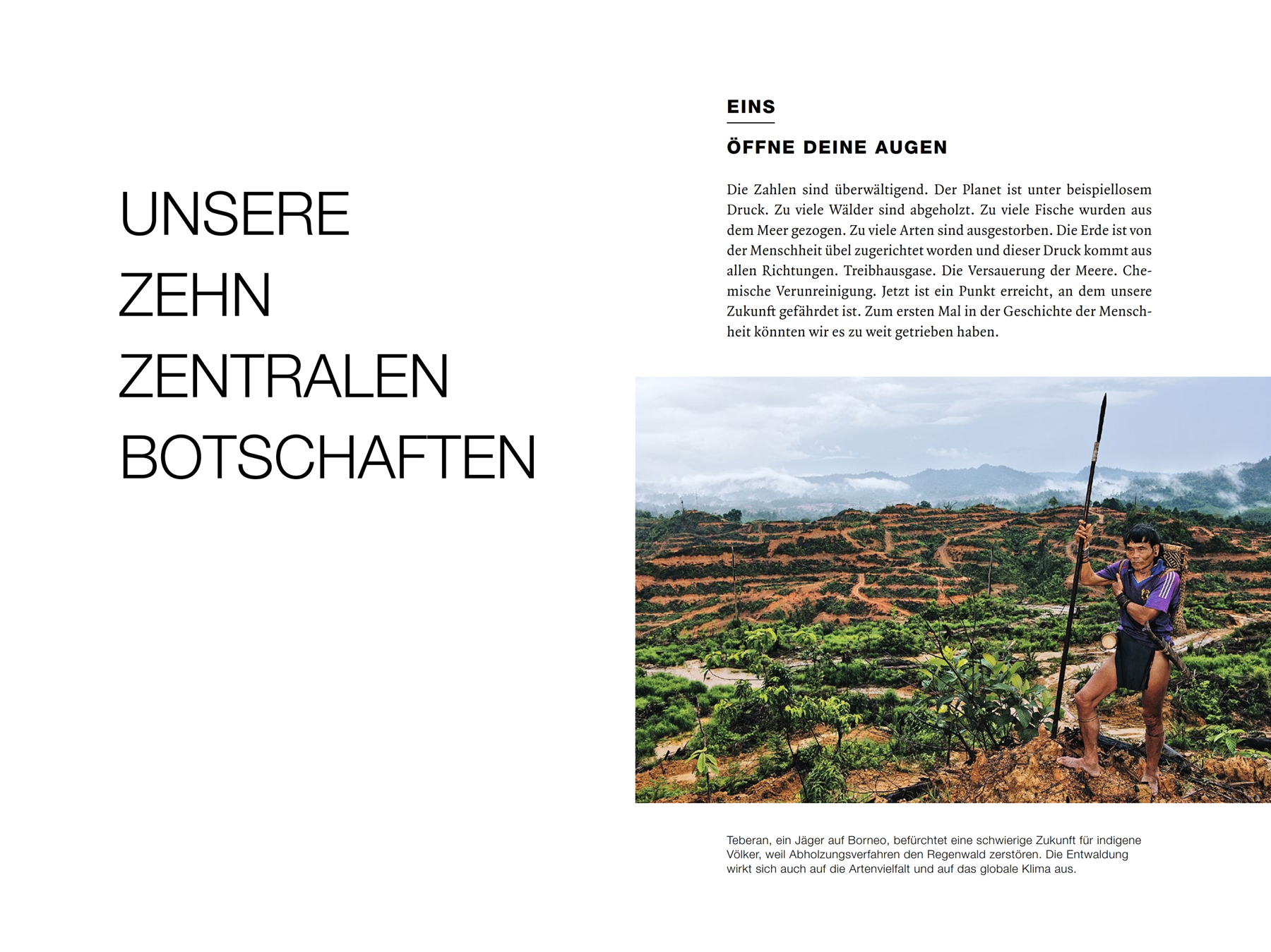 rockstroem-auszug-doppelseitig_001_1800