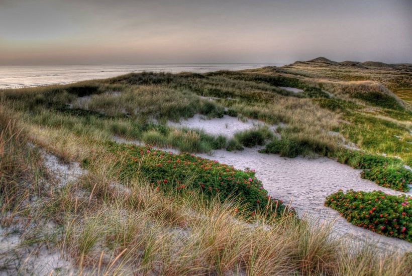Strand_bei_Kampen,_Sylt neu