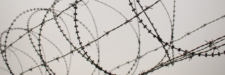 barbed-wire-900x300px