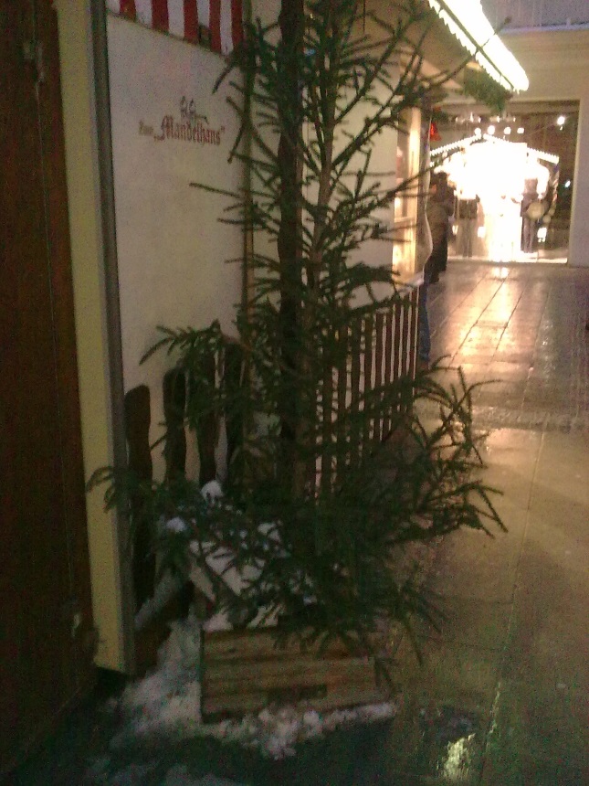 christmas10