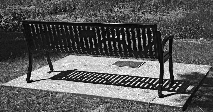 toni_morrison_bench_by_the_road_cogwell