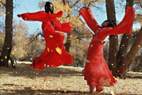 Hero (Ying Xiong)