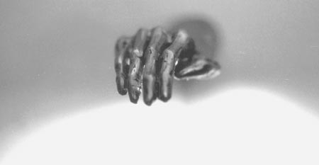 Hagen G. Jung: Schrottkunst II: Hand eines Gottes