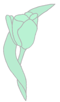 Grüne Tulpe