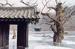 Frühling, Sommer, Herbst, Winter … und Frühling (Bom, yeorum, gaeul, gyeouol, geurigo … bom) (R: Kim Ki-duk)