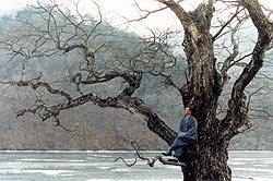 Frühling, Sommer, Herbst, Winter … und Frühling (Bom, yeorum, gaeul, gyeouol, geurigo … bom) (R: Kim Ki-duk)