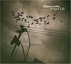Shearwater: Winged Life