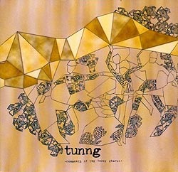 Tunng: Comments of the Inner Chorus