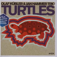 Olaf Kübler & Jan Hammer Trio: Turtles