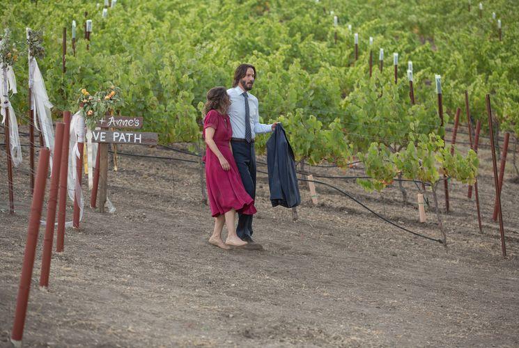 Destination Wedding (Victor Levin)