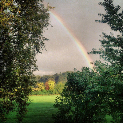 regenbogen_web