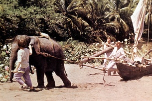 A scene from the 1960 film of Swiss Family Robinson
