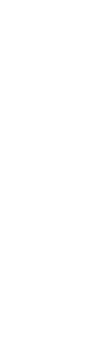 taz.de