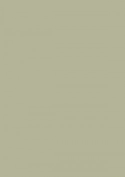 olive-e52c63abb8c177e9609d8d7daf22315a