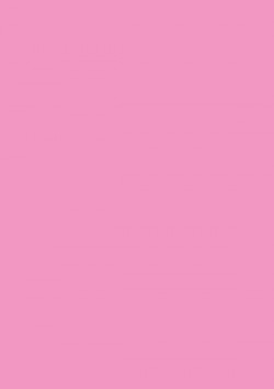 rosa-c5dab13169515e6ca19ccbb60e48fd4a