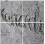 dilimag_test