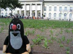 Fridericianum