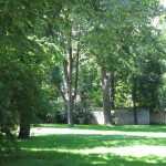 Blick von der Terrasse der AK Bibliothek in den Park