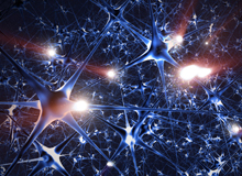 Neuronales Marketing