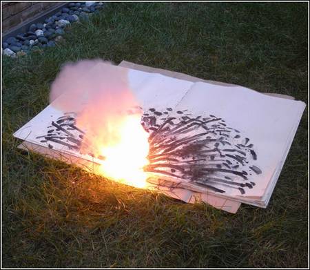 book Cai Guo-Qiang