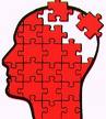 hirn puzzle medizin forum de