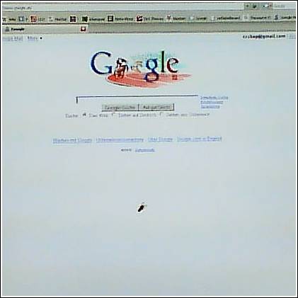 Fly on Screen 02