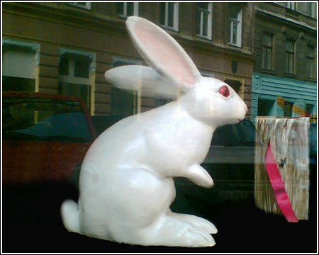 Hasenzauber_copyright_Christiane_Zintzen
