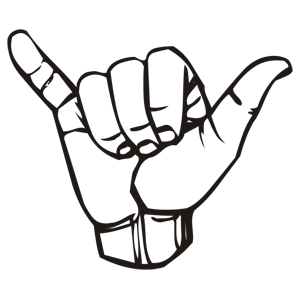 Sign Language Y