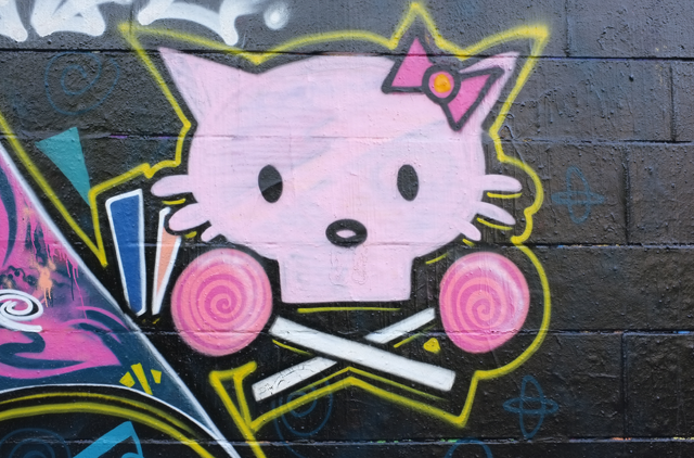 Copyright_Christiane_Zintzen_Sgraffiti_Kitty
