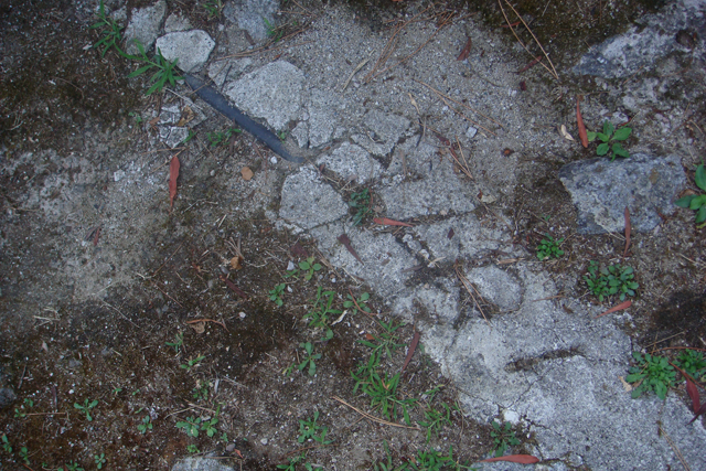Wandeler Diven 08