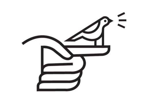 picto bird field study via ffffound