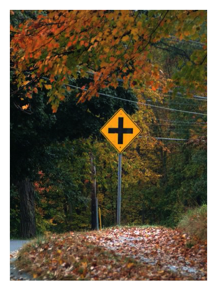 crossroads woods