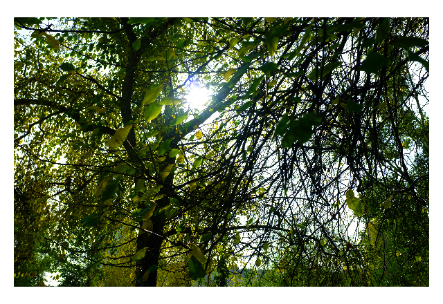 Zintzen_Donaukanal_oktober_13_01