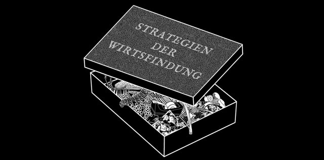 Falkner - copyright - Wirtsfindung 01