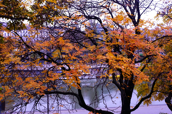 herbst_DK_04